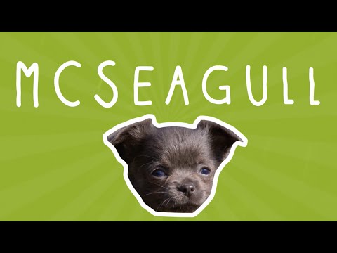 Just Like Me! | McSeagull - honden | Disney Channel NL