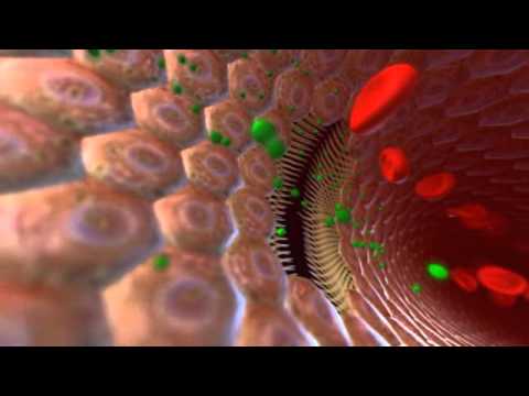 HGL 101 Blutgerinnung normal - PAL 16:9 / HGL 101 Blood Clotting - PAL 16:9