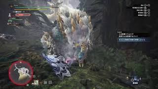 [MHWI]念願のアイスボーン 狩猟解禁！part14