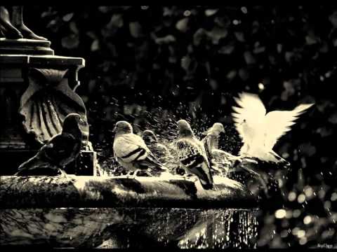 Extended Spirit - Solid Water (Rainer Trüby Trio Remix)