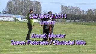 preview picture of video 'Studsdal Milo DM BHP3 2011 GR C'