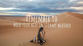 GoldFish - Hold Your Kite (Lyrics) ft. Sorana