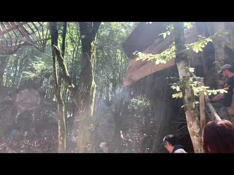 Parasense MO:DEM 2019