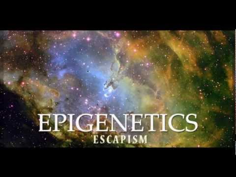 Epigenetics - The Endless Search