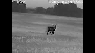 Thermtec Wild 635L Thermal Monocular