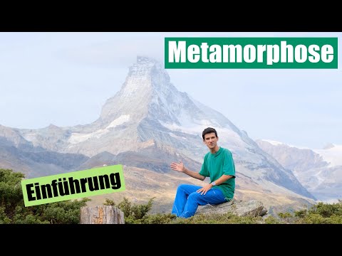 Metamorphose 1: Einführung