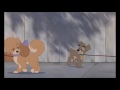 Opening Scene Lady And The Tramp 2 2001