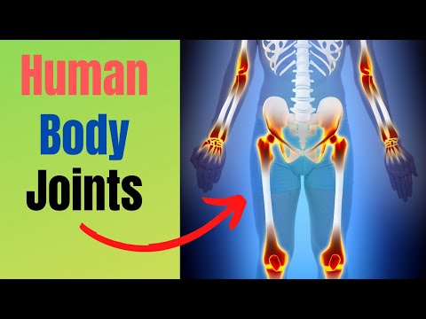 6 Types of Joints found in the Human Body