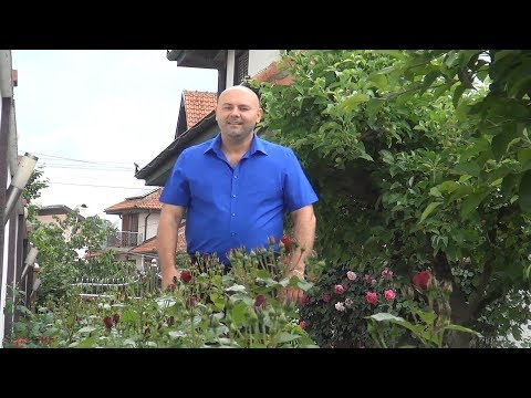 Fećică dje uom bogat - Goran Živković & Čarobnjaci