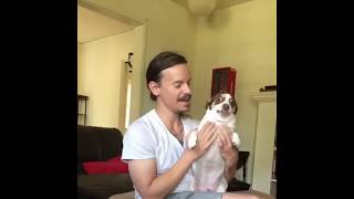 The Church of Mr. Bubz [Compilation]