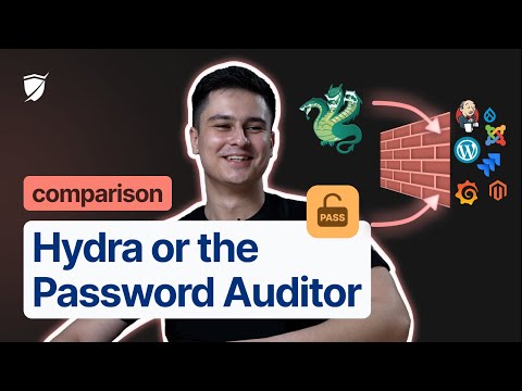 🔥 The best password cracking tool: Hydra vs. the Password Auditor