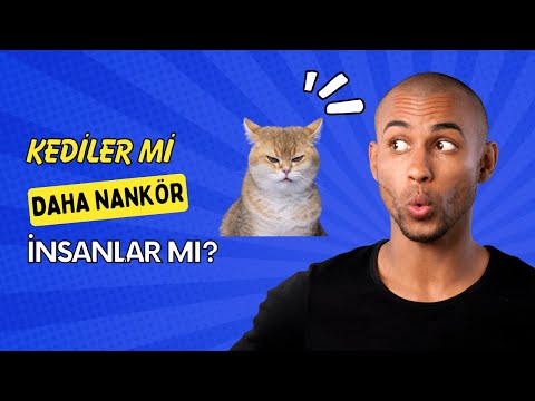 Duyduklarınıza İnanamayacaksınız! I Ofis Dedikodusu Reddit Hikayeleri