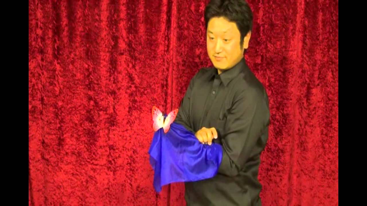 Appearing Butterflies Magic