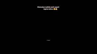 Download lagu MAHLUK ANEH YANG TERTANGAKAP KAMERA 😱 #shorts mp3