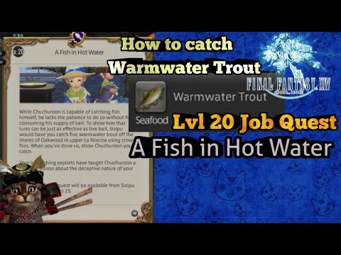 FFXIV FSH lvl 20 Quest A Fish in Hot Water how to catch Warmwater Trout