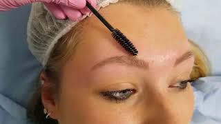 Healed Microbladed Blond Eyebrows 1 session only
