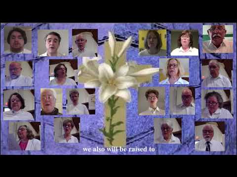 The Chief Cornerstone by Bradley Ellingboe