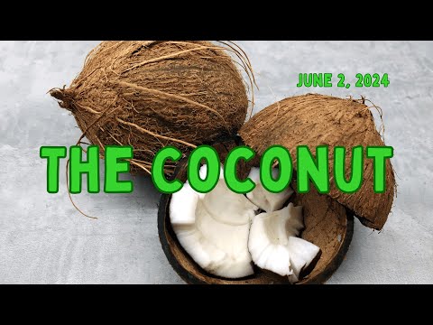 PB UMC Live Stream: June 02,  2024 - The Coconut