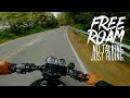 POV Motorcycle Ride Through The Coastal Forest Triumph Speed Twin 1200 4K