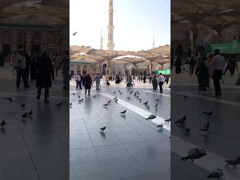 Most peaceful place in the whole world, MADINA ♥️