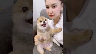 Download lagu No choice …. 🤭 mp3 Download lagu No choice …. 🤭 mp3