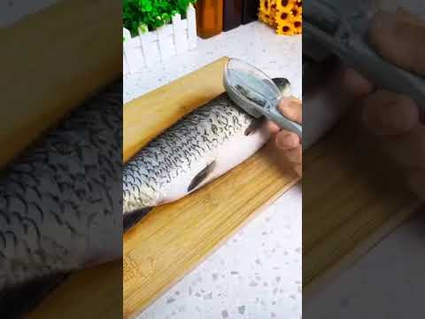Fish scaler