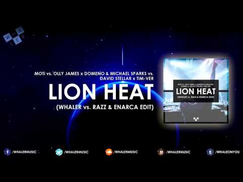MOTi x Domeno & Michael Sparks vs. David Stellar - Lion Heat (Whaler vs. Razz & Enarca Edit)