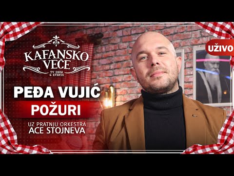 PEDJA VUJIC - POZURI | UZIVO | (ORK. ACA STOJNEV) | KAFANSKO VECE | 2023
