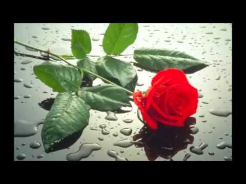 СРЕЌЕН РОДЕНДЕН !!!