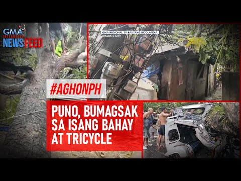 #AghonPH Puno, bumagsak sa isang bahay at tricycle GMA Integrated Newsfeed