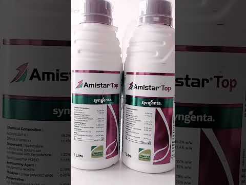 Amistar top syngenta
