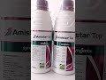 Amistar Top Syngenta