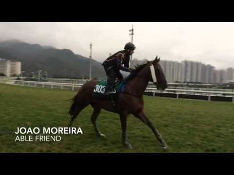 Able Friend - Joao Moreira