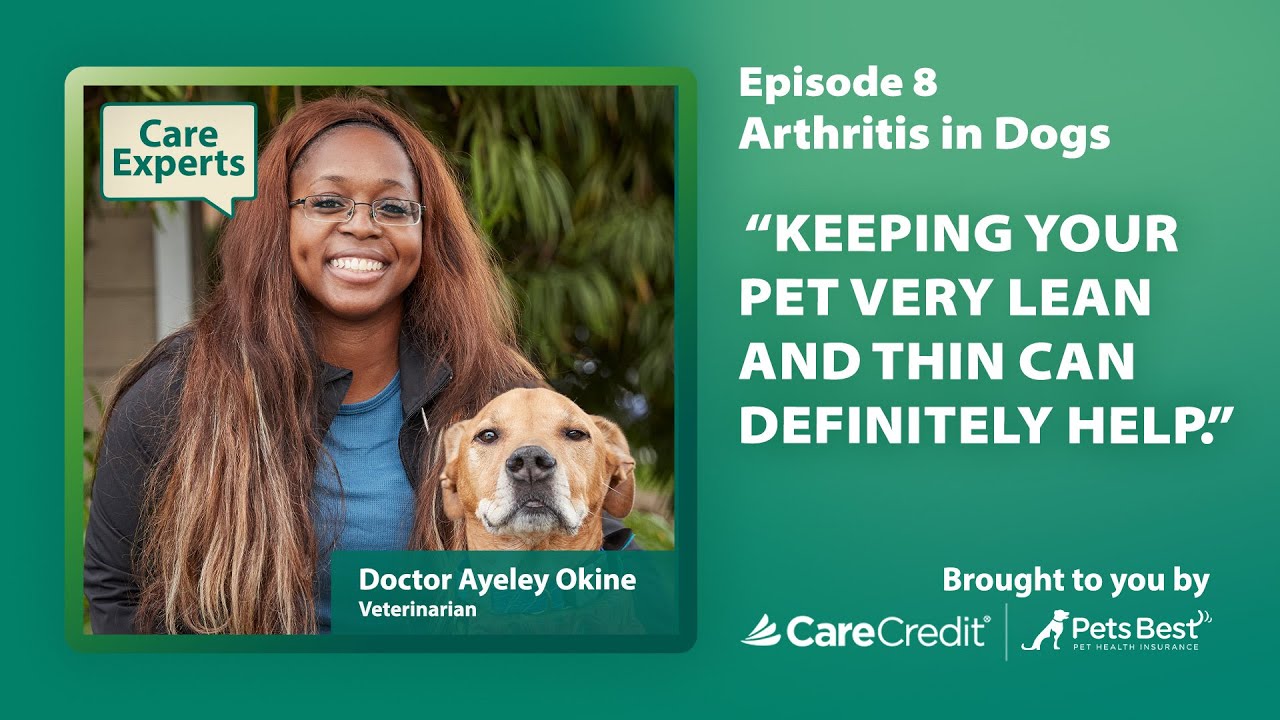 CCWellU-Video-Vodcast Dog Arthritis
