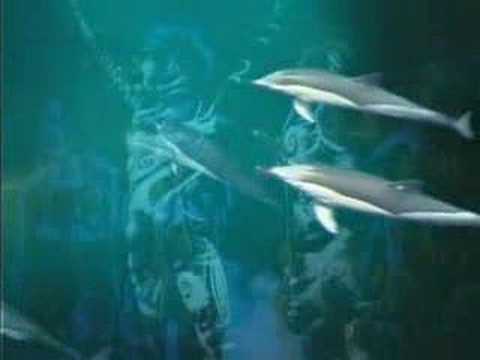 ENIGMA The Dream of The Dolphin
