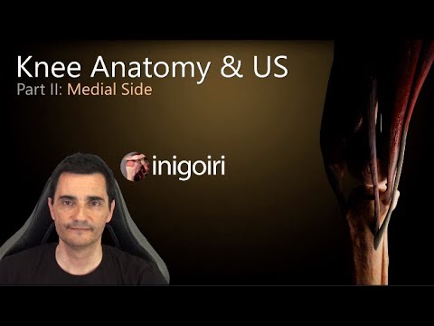 KNEE ULTRASOUND (PART 2/4) | Medial Side: Joint Line, MCL & Pes Anserinus