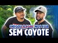 ELE VEIO SOZINHO PARA OS ESTADOS UNIDOS SEM COYOTE PELO CAI CAI