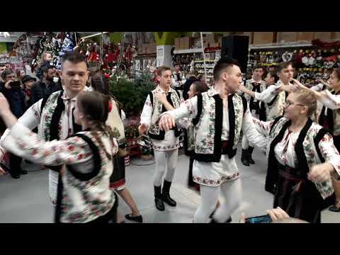 Doina Costestilor    BRAVOO ..