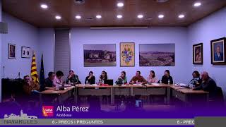 Ple Ordinari 28/01/2025