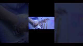 【#言って。】【#shorts】【#ヨルシカ】【#永久機関】プロフよりYouTube fullへ飛べます！  #ヨルシカ  #初音ミク #anime #キタニタツヤ　#盗作再演　#盗作live