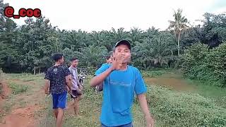 Download lagu Vidio dan story wa joget lucu tukang ngaret mp3 Download lagu Vidio dan story wa joget lucu tukang ngaret mp3