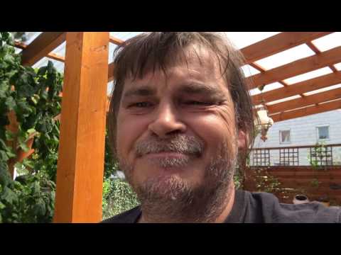 Bauvorhaben 2017  -  Update 21.07.2017