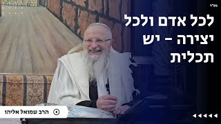 לכל אדם ולכל יצירה - יש תכלית | הרב שמואל אליהו | הלכה יומית | ט״ו שבט תשפ״ה (הרב שמואל אליהו) - התמונה מוצגת ישירות מתוך אתר האינטרנט יוטיוב. זכויות היוצרים בתמונה שייכות ליוצרה. קישור קרדיט למקור התוכן נמצא בתוך דף הסרטון