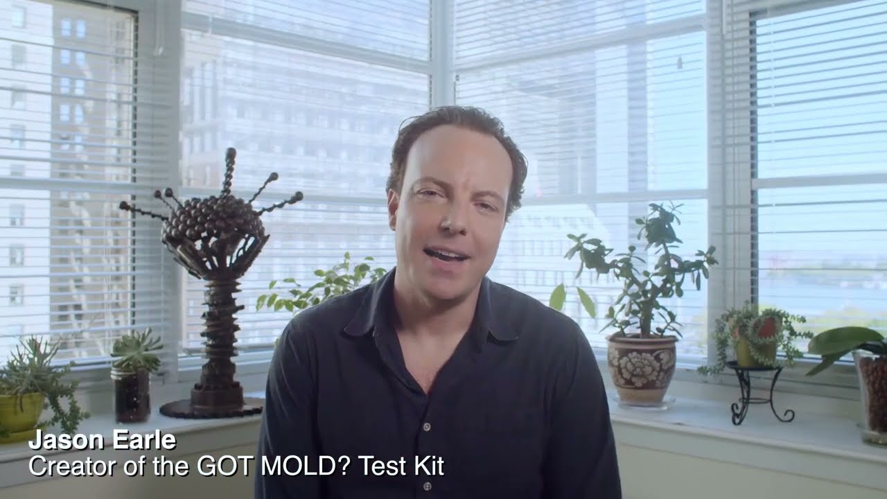 GOT MOLD? // Homepage Intro