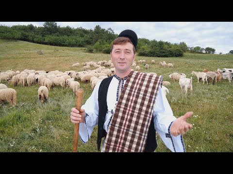 Doinel Hândorean   Au, au, au mândrele mele