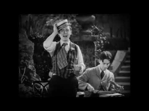 The Mound City Blue Blowers  1929