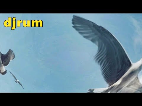 Mix 69: Djrum - EP Tracks 2010-2022 (2nd Drop Records, R & S, Ilian Tape, On The Edge)