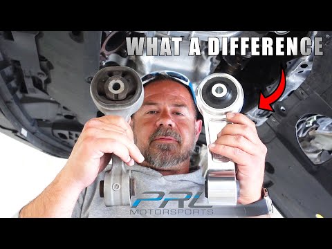 PRL Motorsports Rear Motor Mount for the 10th & 11th Gen Honda Civic
