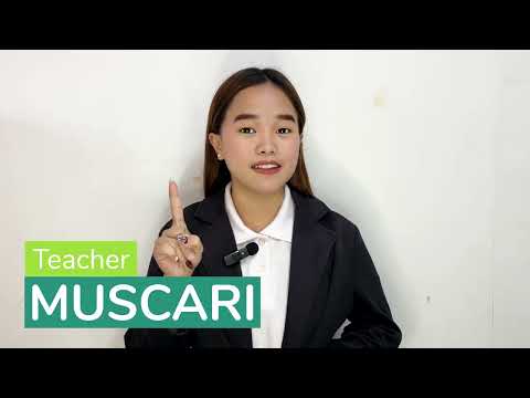 Muscariのプロフィール動画