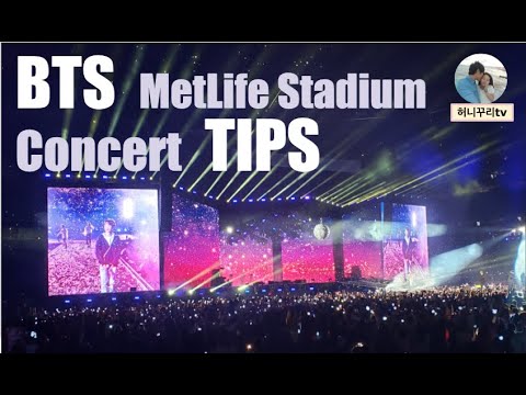 Metlife Stadium Section 137